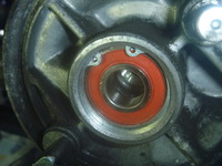P1240503