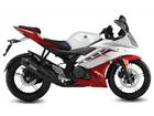 yzfr15ind13