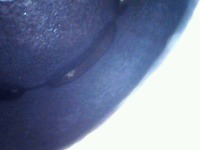 usbcamera20211222192638