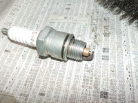 DSCN8973
