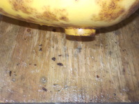 DSCN1177