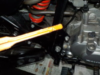 DSCN8924