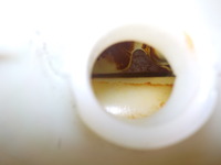 DSCN2906