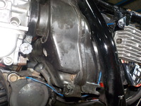 DSCN5940