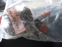 DSCN5239