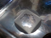 DSCN8799