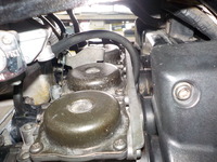 DSCN6361