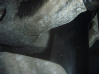 P1200905