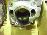 DSCI0035