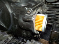 DSCN8868