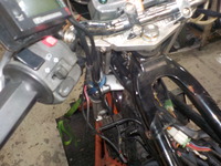DSCN3224