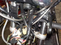 DSCN3239