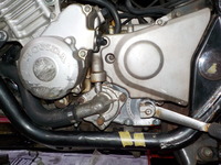 DSCN5956