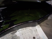 DSCN5816