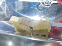 DSCN0753