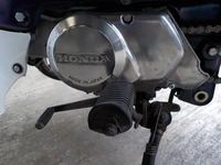 DSCN5427