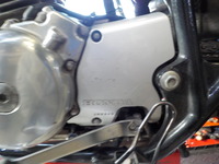 DSCN5596