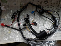 DSCN5723