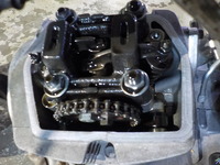 DSCN8444