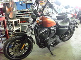 hd-xl883r20120221ws (1)