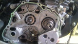sl230ws20120513 (12)