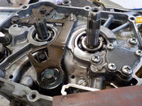 DSCN0646