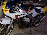 DSCN7559