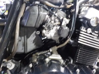 DSCN7368