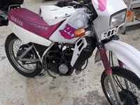 DSCN7131