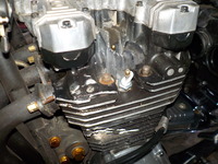DSCN5724