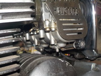 DSCN3122