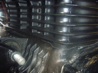 P1060969