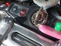 DSCN6701