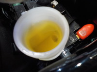 DSCN5118