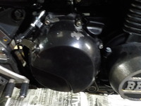 DSCN5545