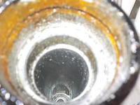 DSCN7357