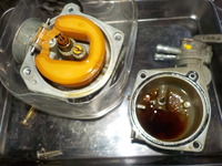 DSCN6736