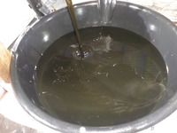 DSCN8876