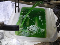 DSCN0781
