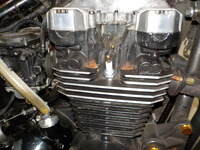 DSCN5716