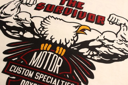 THE SURVIVOR (13)