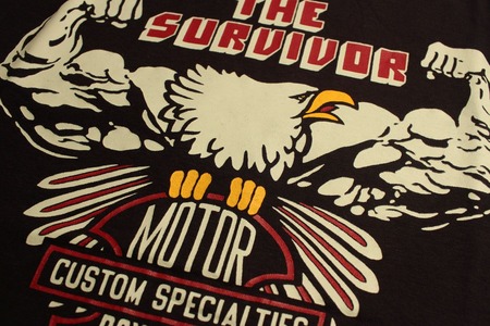 THE SURVIVOR (4)