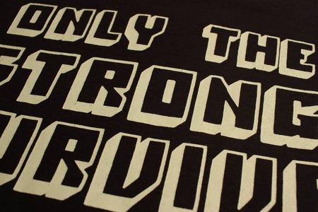 THE SURVIVOR (8)