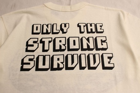 THE SURVIVOR (16)