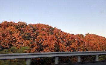 日の出とともに5