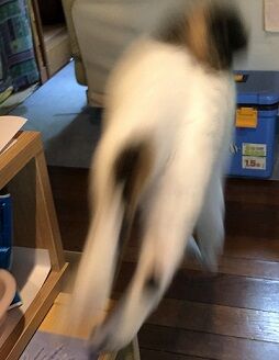 ここが違う7