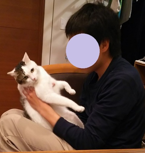 ぶぜん