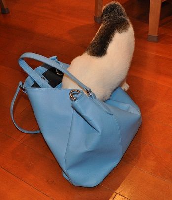 一人で遊ぶ子