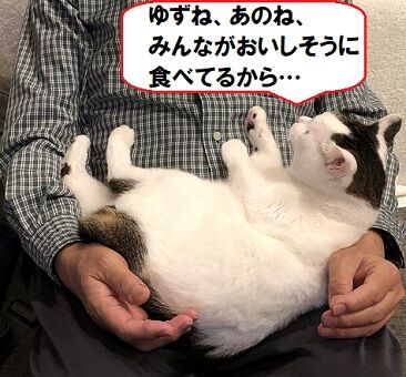 ぬすっと3