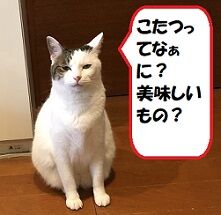 炬燵